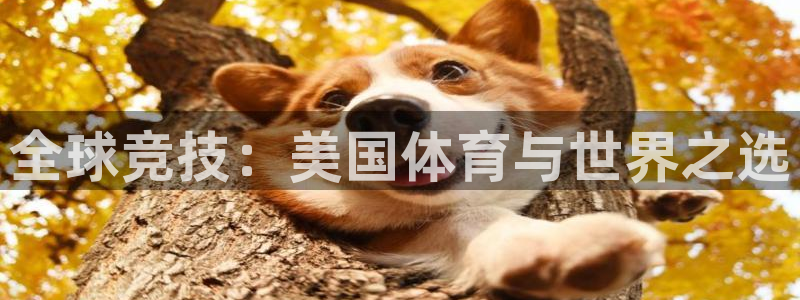 k1体育平台最新网站下载：全球竞技：美国体育与世界之选