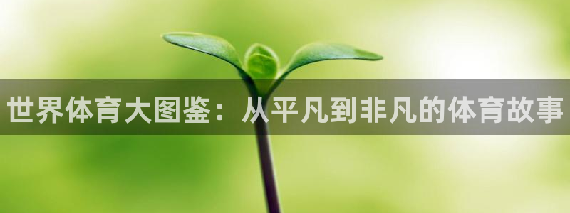 k1体育十年登录入口：世界体育大图鉴：从平凡到非凡的体育故事