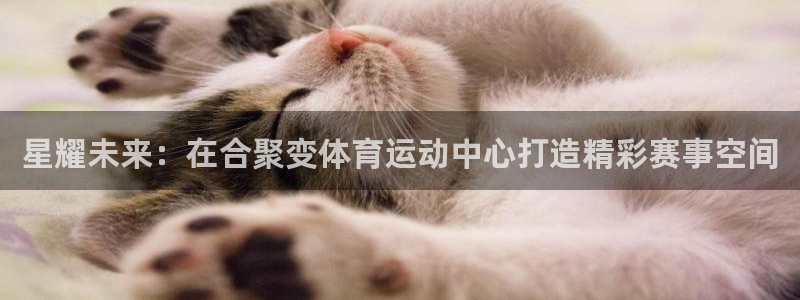 k1体育平台下载：星耀未来：在合聚变体育运动中心打造精彩赛事空间
