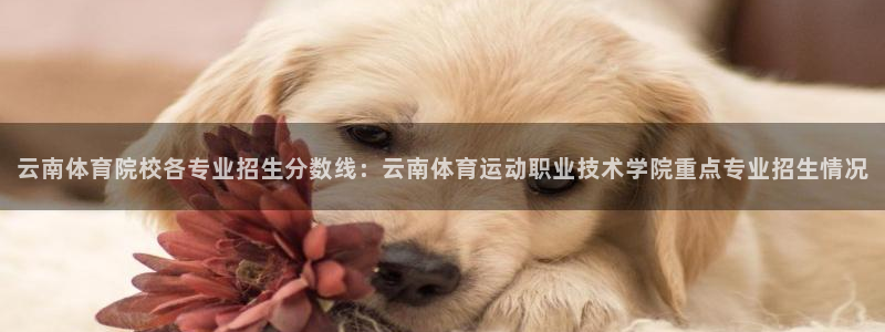 k1体育十年品牌值得信赖网址：云南体育院校各专业招生分数线：云南体育运动职业技术学院重点专业招生情况