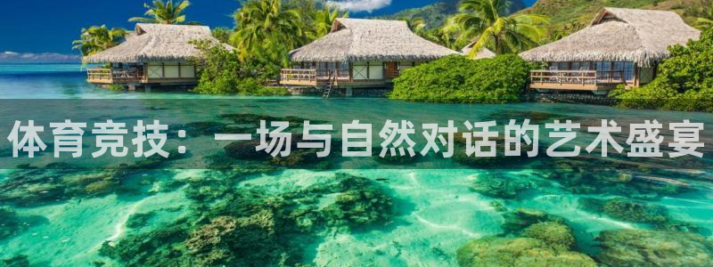 k1体育十年品牌值得信赖：体育竞技：一场与自然对话的艺术盛宴